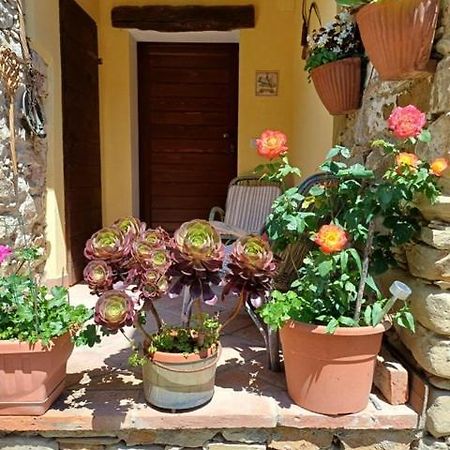 Casa Galla Ovada Dış mekan fotoğraf